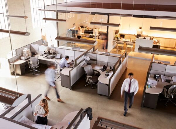 A group of people in an office setting.